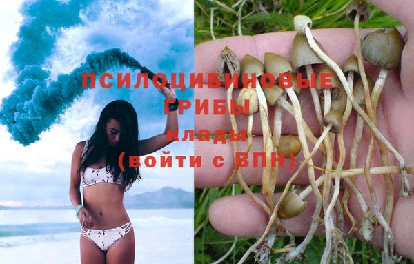 каннабис Абинск