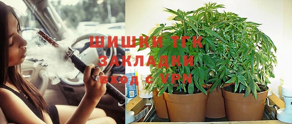 2c-b Алзамай